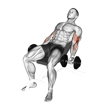 Dumbbell Incline Curl Ii