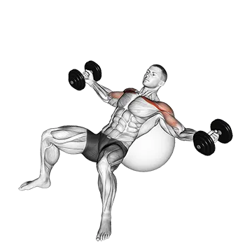 Dumbbell Incline Fly on Exercise Ball