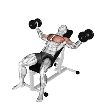 Best Dumbbell Chest Workouts Dumbbell Incline Fly