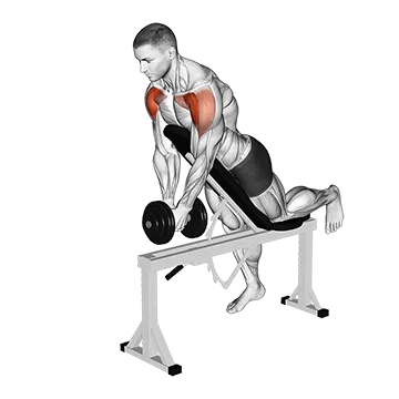 Dumbbell Incline Front Raise With Chest Support