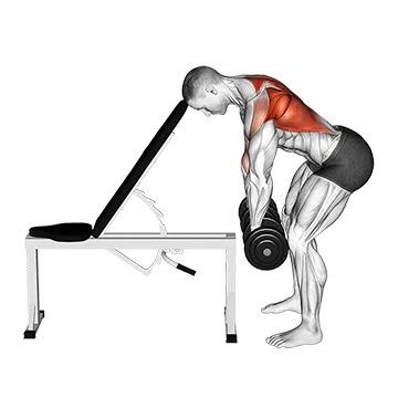 Dumbbell Incline Head Supported Row