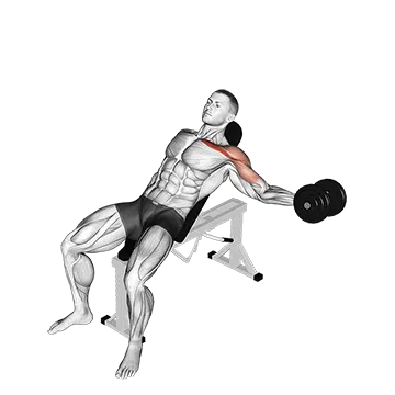 Best One Dumbbell Workouts Dumbbell Incline One Arm Fly