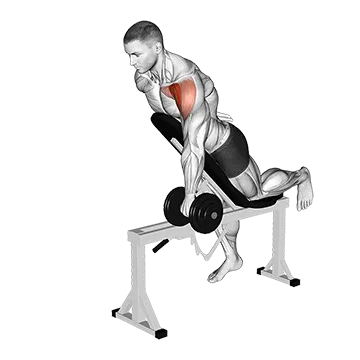 Dumbbell Incline One Arm Front Raise With Chest Support