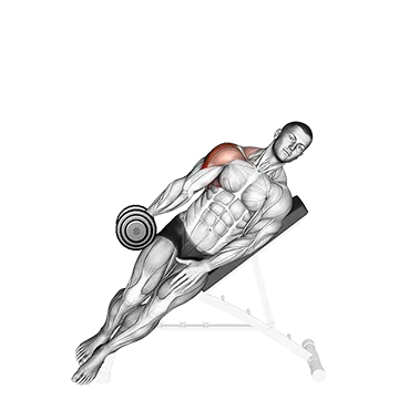 Dumbbell Incline One Arm Lateral Raise