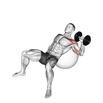 Dumbbell Incline One Arm Press on Exercise Ball