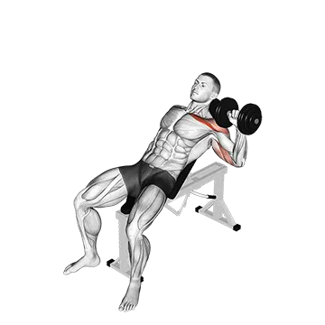 Best One Dumbbell Workouts Dumbbell Incline One Arm Press