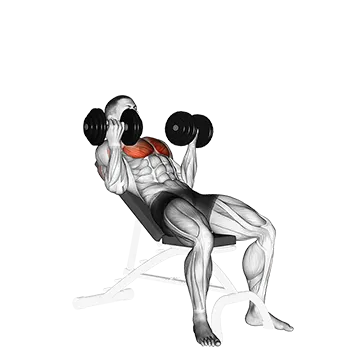 Dumbbell Incline Palm in Press