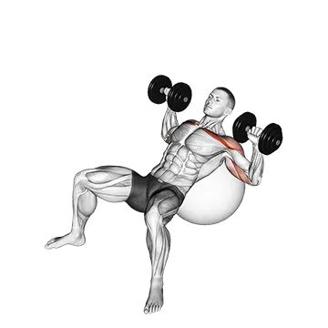 Dumbbell Incline Press on Exercise Ball