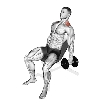 How To Build Bigger Traps Dumbbell Incline Shrug