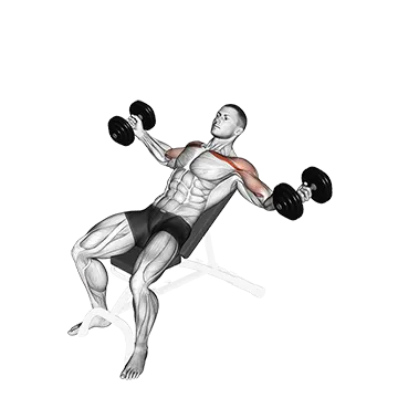 Dumbbell Incline Twisted Flyes