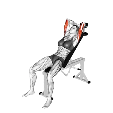 Dumbbell Incline Two Arm Extension