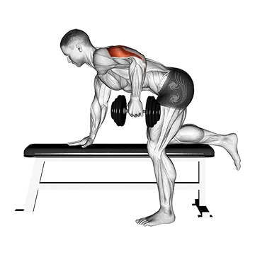 Best Dumbbell Tricep Workouts Dumbbell Kickback