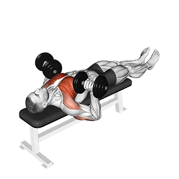 Best Dumbbell Chest Workouts Without Bench Dumbbell Larsen Press