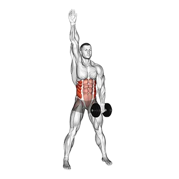 Dumbbell Low Windmill