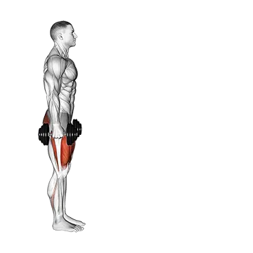 Best Beginner Dumbbell Workouts Dumbbell Lunge
