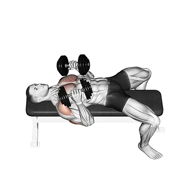Dumbbell Lying Elbow Press