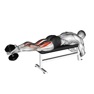 Best Lower Body Dumbbell Workouts Dumbbell Lying Femoral