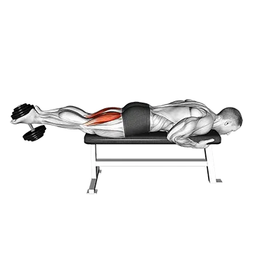 Best Dumbbell Leg Workouts Dumbbell Lying Leg Curl