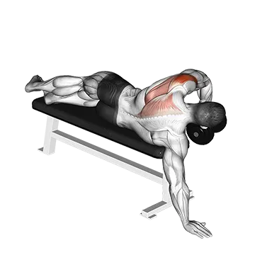 Dumbbell Lying One Arm Deltoid Rear