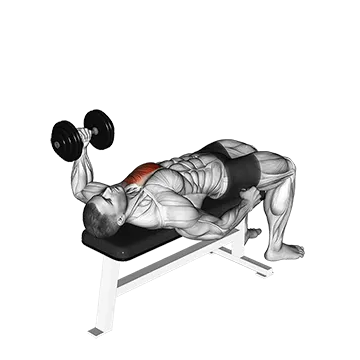 Dumbbell Lying One Arm Press Ii
