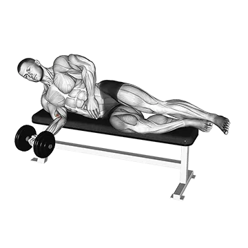 Dumbbell Lying Pronation
