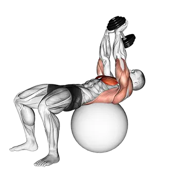 Dumbbell Lying Pullover on Exercise Ball