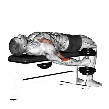 Dumbbell Lying Supine Curl