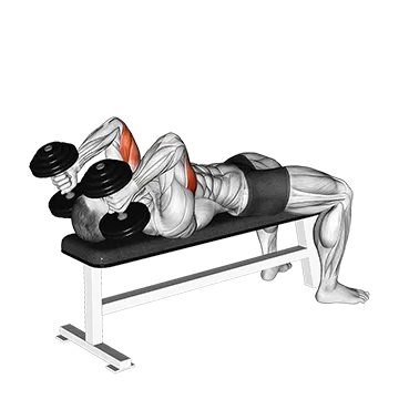 Best 5 Day Split Workout Dumbbell Lying Triceps Extension