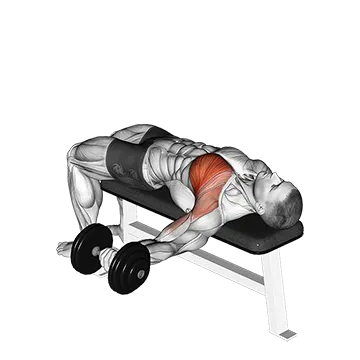 Dumbbell One Arm Bench Fly