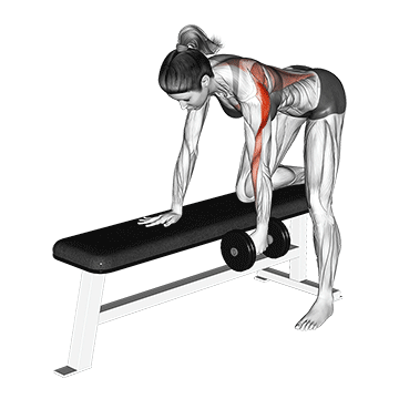 Best Dumbbell Back Workouts Dumbbell One Arm Bent Over Row