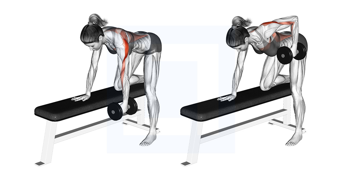 Dumbbell Rear Delt Row Guide Benefits And Form Dumbbell Rear Delt Row Guide Benefits And Form