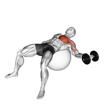 Dumbbell One Arm Chest Fly on Exercise Ball