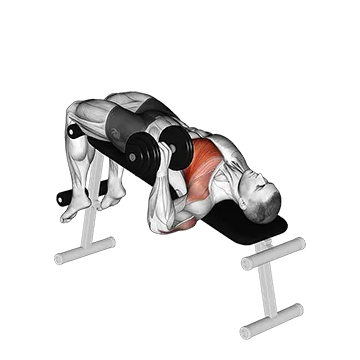 Best Dumbbell Chest Workouts Dumbbell One Arm Decline Chest Press