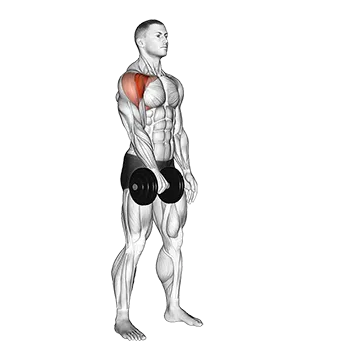 Dumbbell One Arm Front Raise