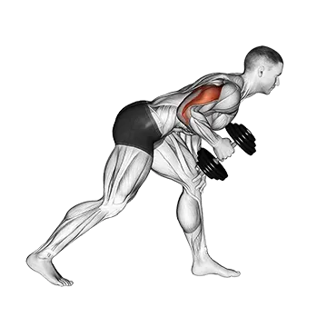 Dumbbell One Arm Kickback