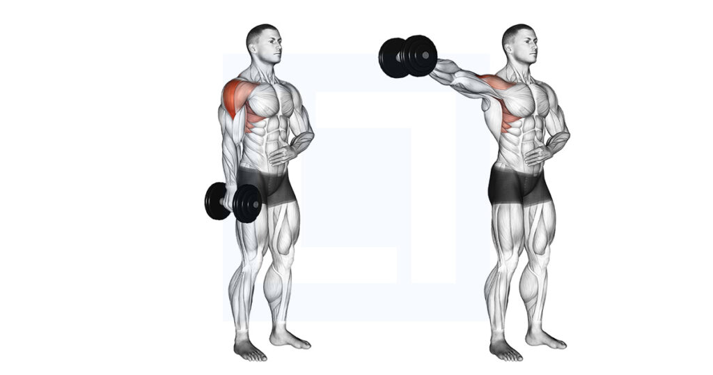Dumbbell Clean And Press Guide Benefits And Form Dumbbell Clean And Press Guide Benefits And Form