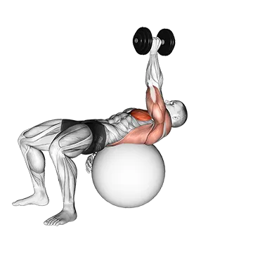 Dumbbell One Arm Pullover on Exercise Ball