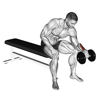 Dumbbell One Arm Revers Wrist Curl