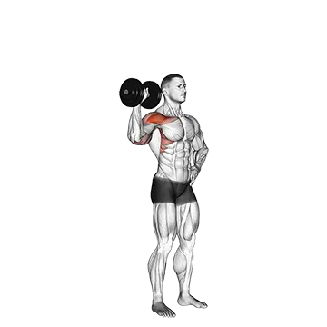 Dumbbell One Arm Shoulder Press Ii