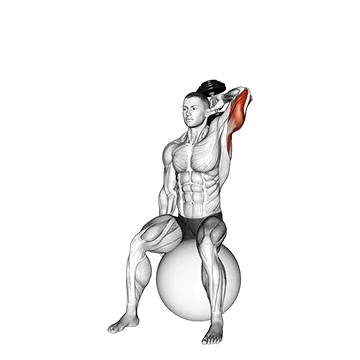 Dumbbell One Arm Triceps Extension on Stability Ball