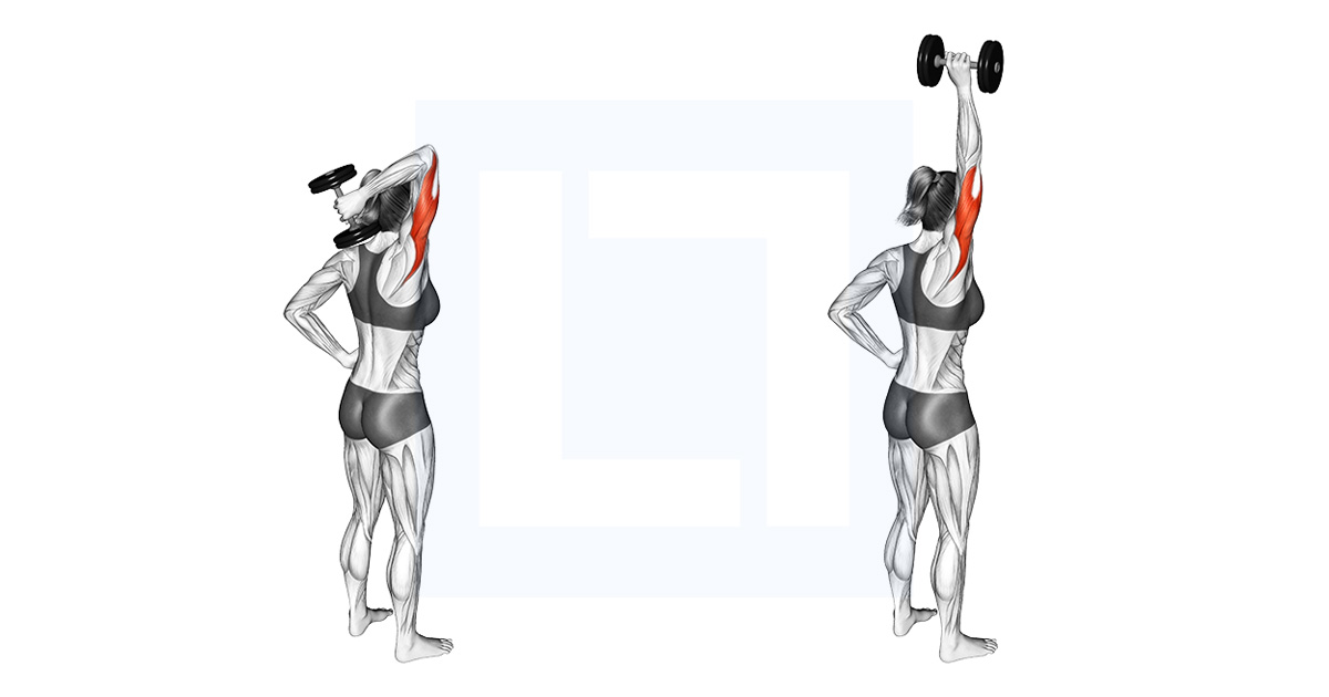 One Arm Dumbbell Triceps Extension Dumbbell Standing Triceps Extension