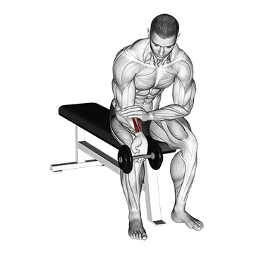 Best One Dumbbell Workouts Dumbbell One Arm Wrist Curl