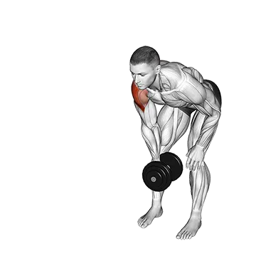 Dumbbell One Arm Y Elevation