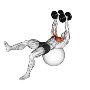 Dumbbell One Leg Fly on Exercise Ball