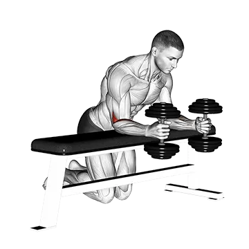 Dumbbell Over Bench Neutral Wrist Curl