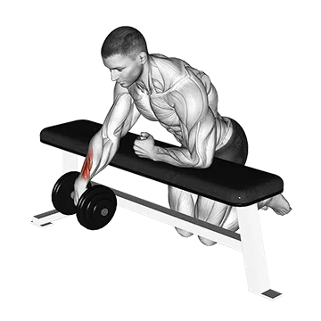 Dumbbell Over Bench One Arm Wrist Curl