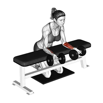 Dumbbell Over Bench Revers Wrist Curl With Mat