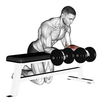 Best Dumbbell Forearm Workouts Dumbbell Over Bench Reverse Wrist Curl
