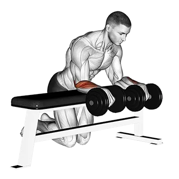 Dumbbell Over Bench Wrist Curl