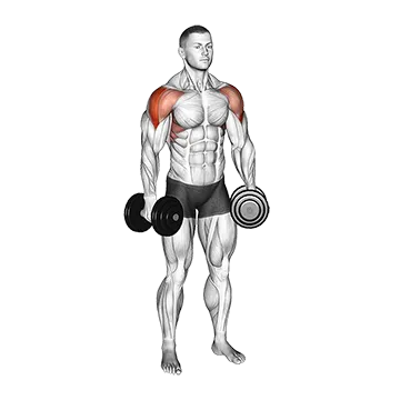 Best Side Delt Exercises Dumbbell Partials Lateral Raise
